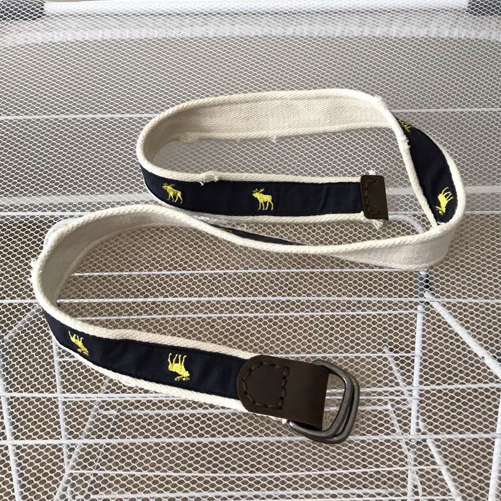Men's Abercrombie & Fitch Belt